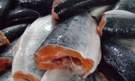 Где купить свежемороженую рыбу оптом в Москве